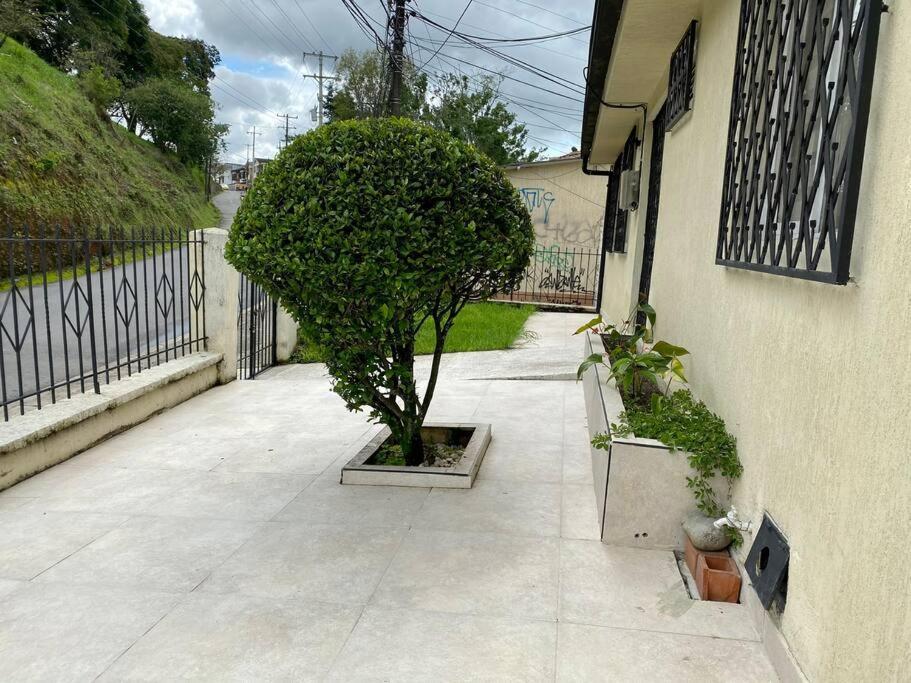 Acogedora Casa Muy Cerca Al Centro Historico De *